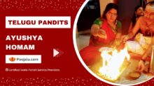 Telugu Pandits For Ayushya Homam Puja