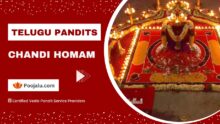 Telugu Pandit for Chandi Homam Puja