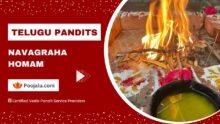 Telugu Pandit for Navagraha Homam Puja